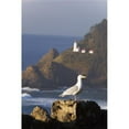 thumbnail image 1 of Oregon - United States of America - A Bird Sitting On A Rock with Heceta Head Lighthouse In The Background Along The Coast of The Pacific Ocean Poster Print - 24 x 38 - Large, 1 of 1