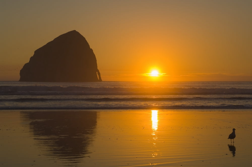 Oregon United States Of America Cape Kiwanda And Haystack Rock At Sunset Canvas Art - Dan Sherwood Design Pics (36 x 24)
