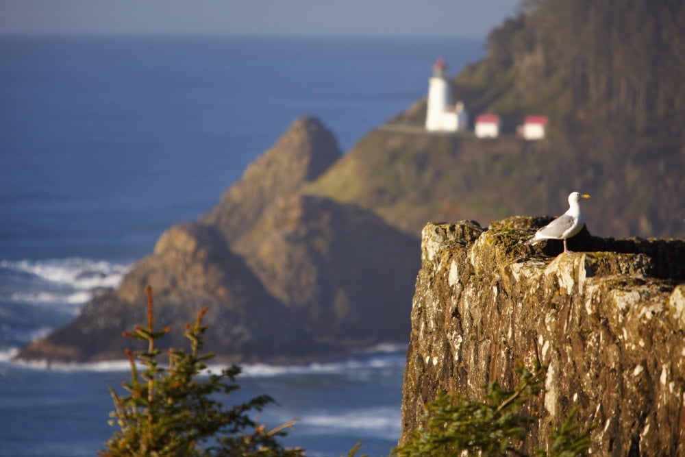 Oregon United States Of America Heceta Head Lighthouse Along The Coast Canvas Art - Craig Tuttle Design Pics (38 x 24)
