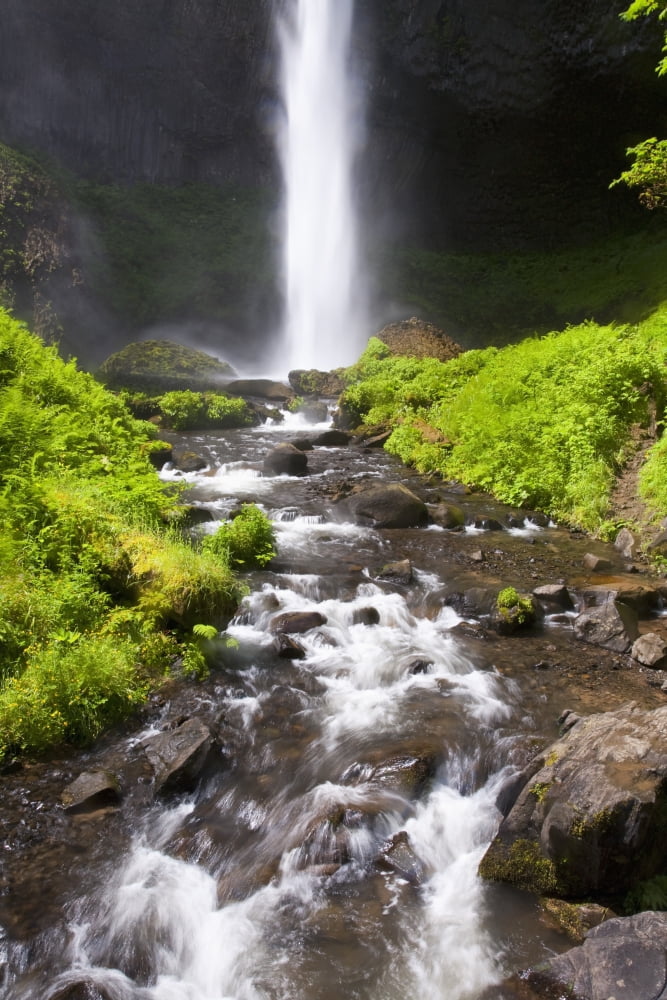 Oregon United States Of America Latourell Falls In The Columbia River Gorge National Scenic Area Canvas Art - Craig Tuttle Design Pics (12 x 19)