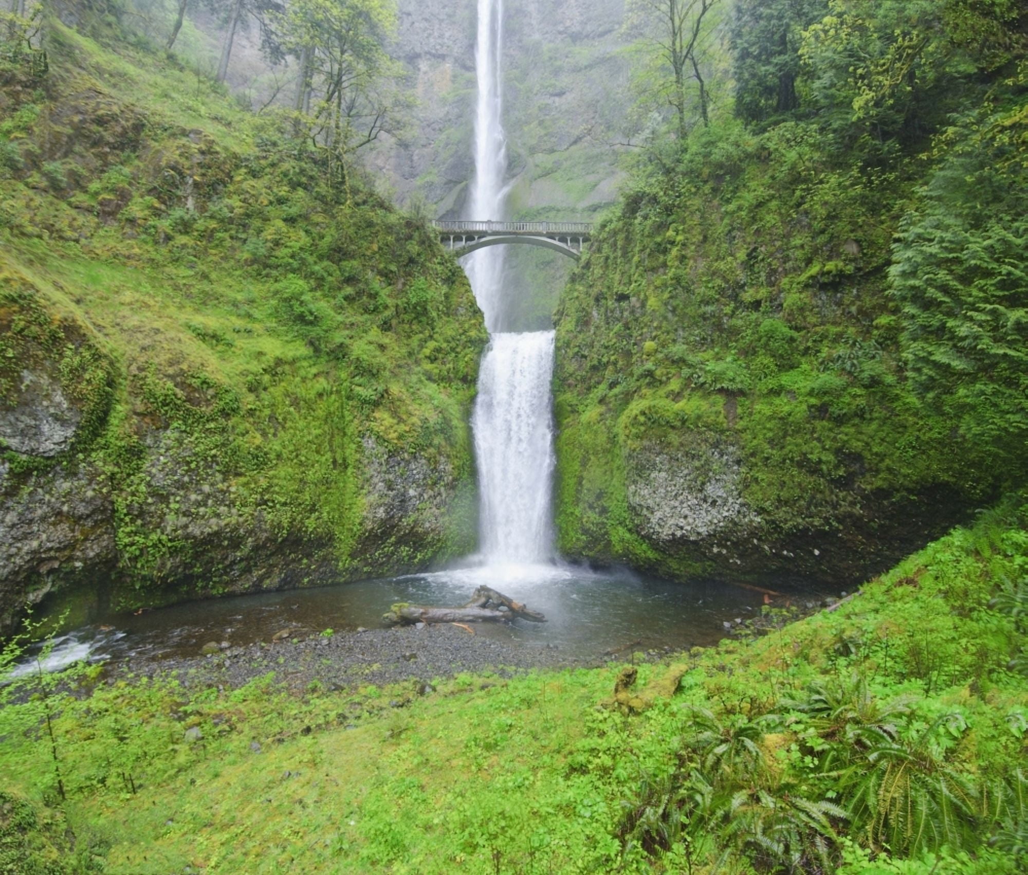 Oregon United States Of America Multnomah Falls In Spring In Columbia River Gorge Canvas Art - Dan Sherwood Design Pics (32 x 28)
