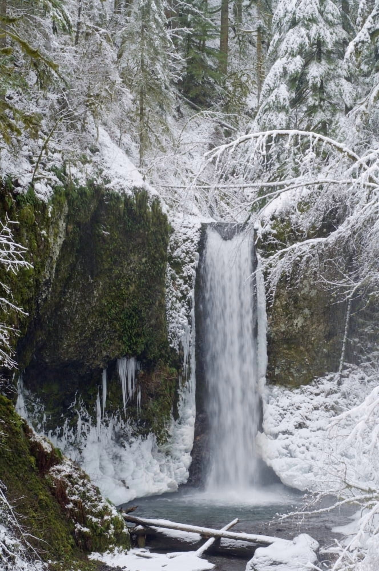 Oregon United States Of America Wiesendanger Falls In Winter In The Columbia River Gorge Canvas Art - Dan Sherwood Design Pics (12 x 19)