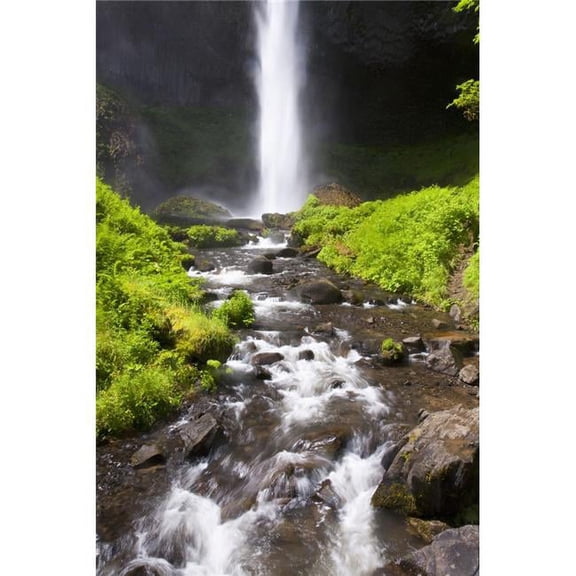 Oregon, United States of America - Latourell Falls In The Columbia River Gorge National Scenic Area Poster Print, 12 x 19