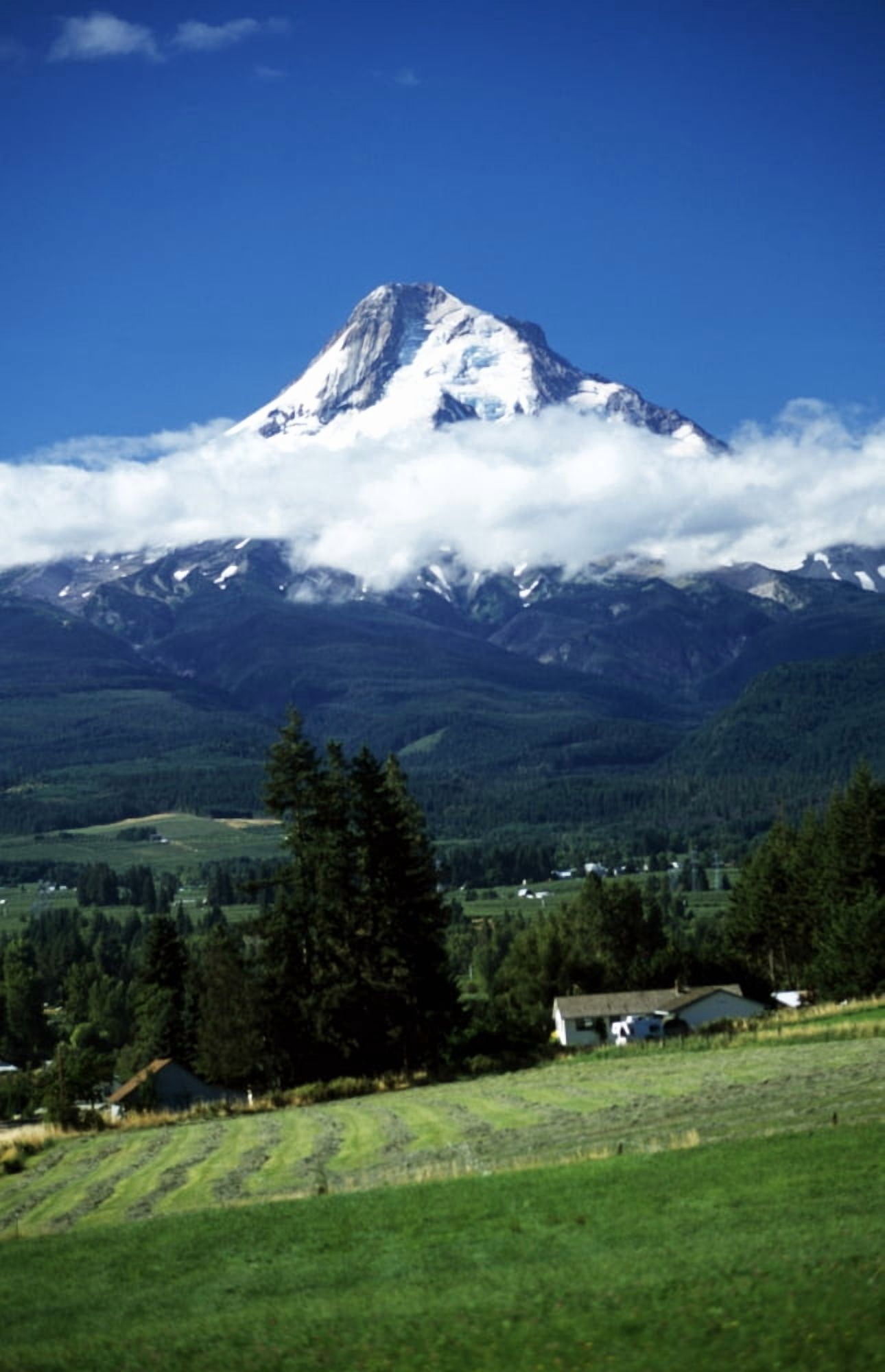 Oregon Usa Mount Hood And Low Lying Cloud Canvas Art - John Doornkamp Design Pics (14 x 22)