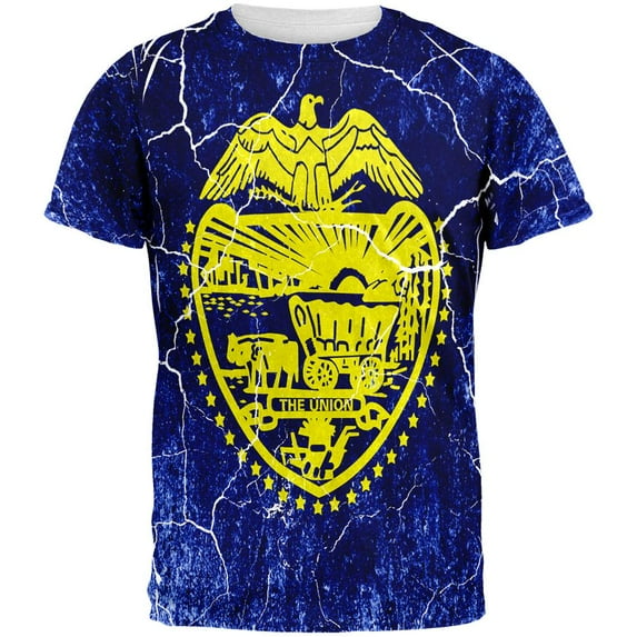 Oregon Vintage Distressed State Flag All Over Mens T Shirt Multi LG
