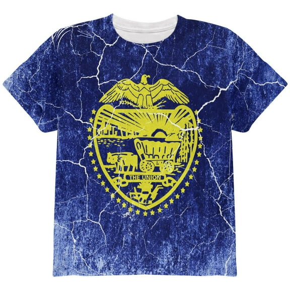 Oregon Vintage Distressed State Flag All Over Youth T Shirt Multi YLG