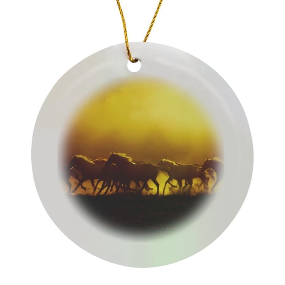 3drose, Oregon, Wild Kiger Mustang Horse Kicking up Dust - Us38 Bja0029 - Jaynes Gallery, Circle Porcelain Ornament