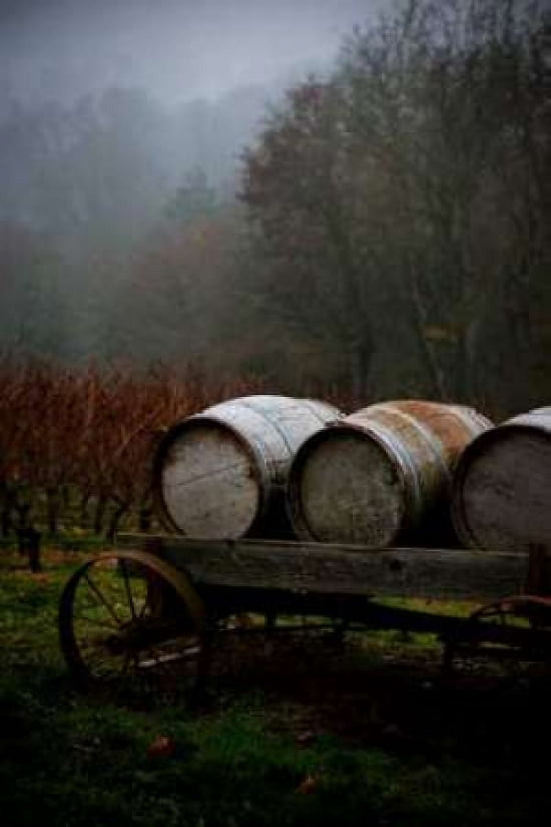 Oregon Wine Country II Canvas Art - Erin Berzel (12 x 18)