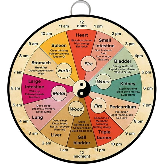 Organ Clock Knowledge Wall Art Round Retro Metal Tin Sign 24 Hour Circadian Poster, Chinese Medicine Healthy Vintage School Home Plaque Poster Gift, 15x15cm