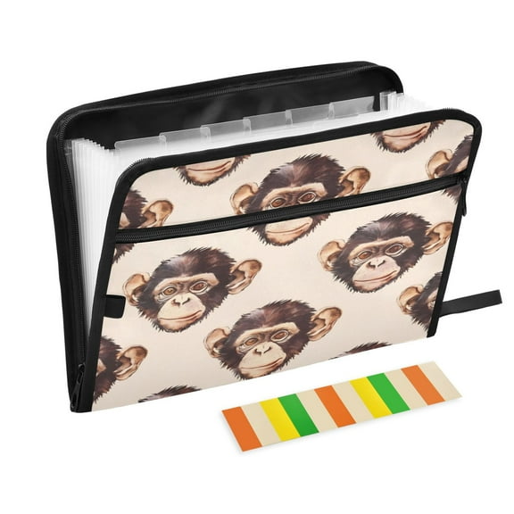 Organ Folder 14.2 x 0.8 x 10.6 Inches 13 Separate Pockets A4 Size Documents Folder A Sort Storage File Manager For The Home Office Gray Monkey