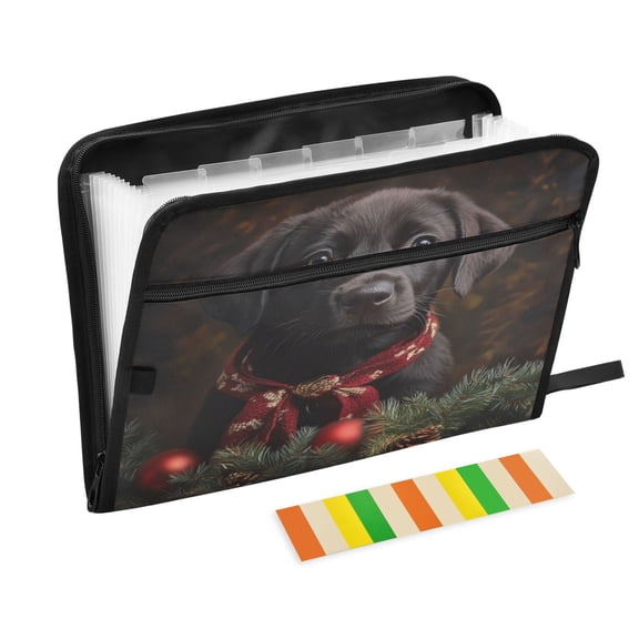Organ Folder 14.2 x 0.8 x 10.6 Inches 13 Separate Pockets A4 Size Documents Folder A Sort Storage File Manager For The Home Office Christmas Cute Black Dog