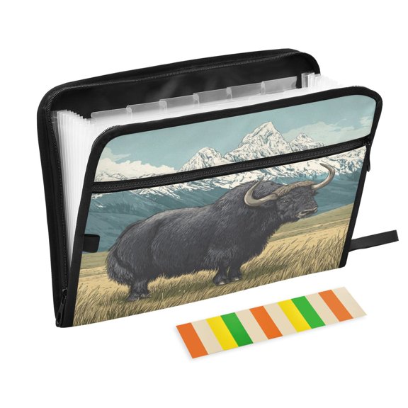 Organ Folder 14.2 x 0.8 x 10.6 Inches 13 Separate Pockets A4 Size Documents Folder A Sort Storage File Manager For The Home Office Strong Black Yaks Portrait