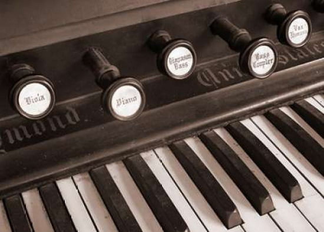 Organ I Canvas Art - Jim Christensen (20 x 28)