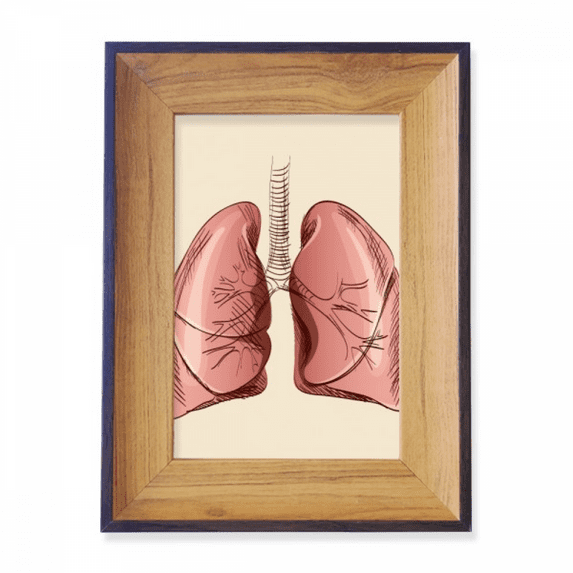 Organ Lung Human Illustration Photo Frame Exhibition Display Art Desktop Painting