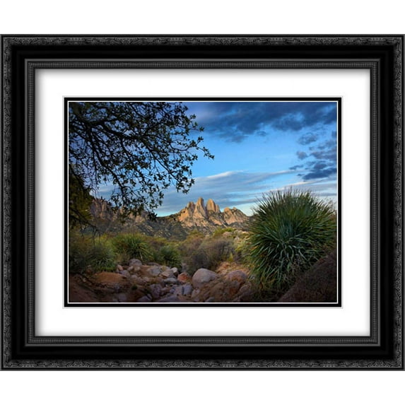 Organ Mountains near Las Cruces, New Mexico 2x Matted 24x20 Black Ornate Framed Art Print by Fitzharris, Tim