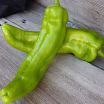 Sustainable Seed Company 30 Anaheim Hot Chili Pepper Plant Seeds, Non-GMO