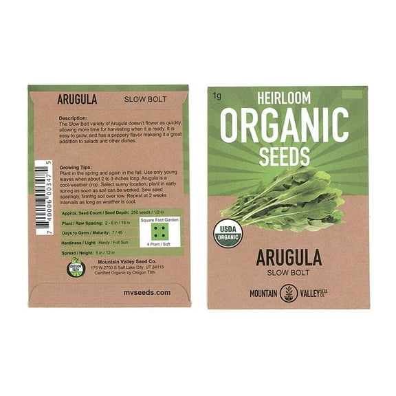 Organic Arugula Seeds - 3 Gram Packet: Approx 1400 Seeds - Leafy Green Salad Garden Seeds: Microgreens, Baby Greens