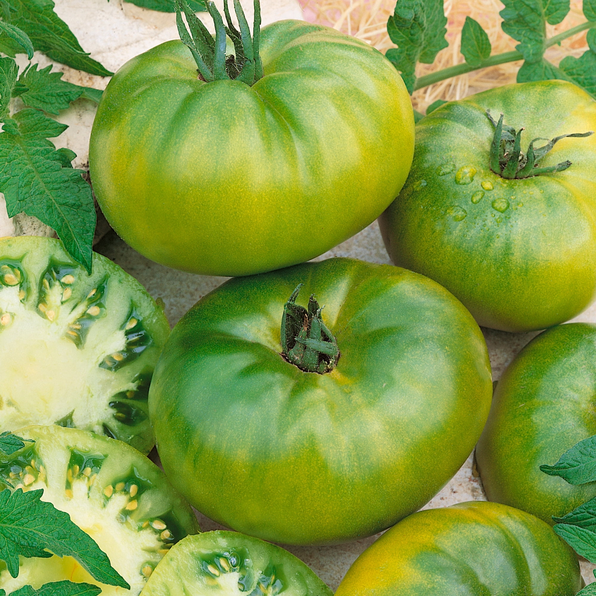 Organic Aunt Ruby's German Green Tomato Seeds - 300 Mg Packet ~84 Seeds - Non-GMO, Certified Organic, Heirloom - Vegetable Garden - Lycopersicon esculentum