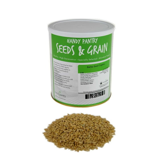 Organic Barley Seeds -4.5 Lbs - Whole (Hull Intact) Barleygrass Seed - Ornamental Barley Grass, Juicing - Grain for Beer Making, Emergency Food Storage & More