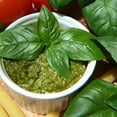 thumbnail image 1 of Organic Basil, Italian Large Leaf - 1/4 LB ~64,000 Seeds - Non-GMO, Open Pollinated, Heirloom, Culinary Herb Gardening & Microgreens Seeds, 1 of 1