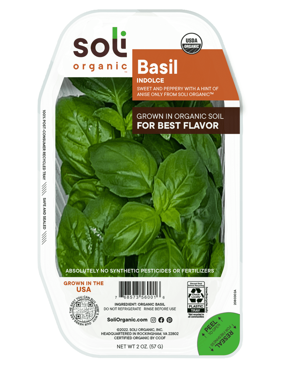 Organic Basil