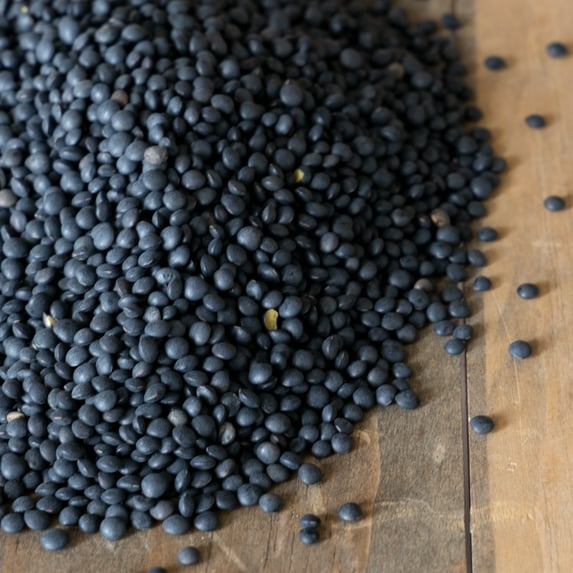 Organic Black Lentil Seeds - 25 Lb Bulk ~240,000 Seeds - Heirloom, Non-GMO Farm & Vegetable Garden & Sprouting - Indian Lentils