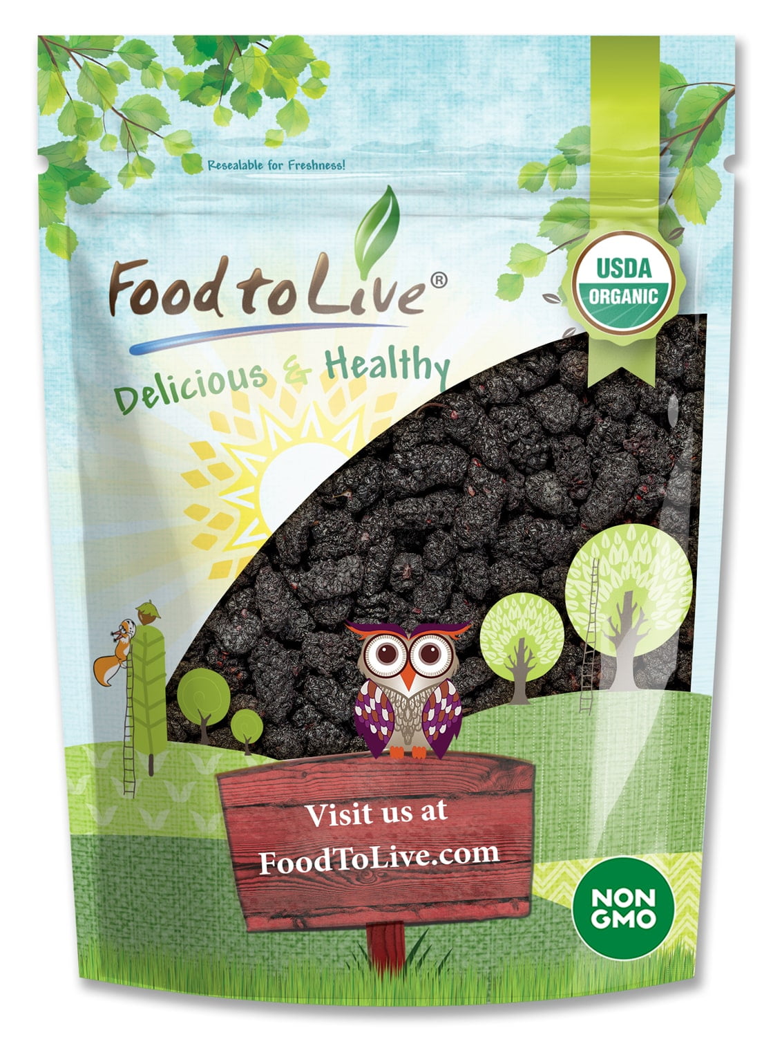 Organic Black Mulberries, 0.5 Pounds  Non-GMO, Raw, Vegan  by Food to Live