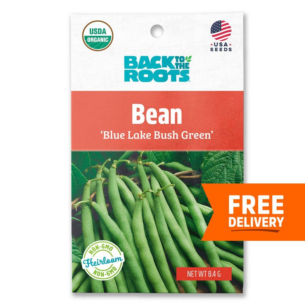 Organic Blue Lake Bush Green Bean Seed (1Pack)