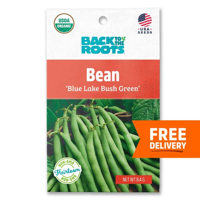 Organic Blue Lake Bush Green Bean Seed (1Pack)