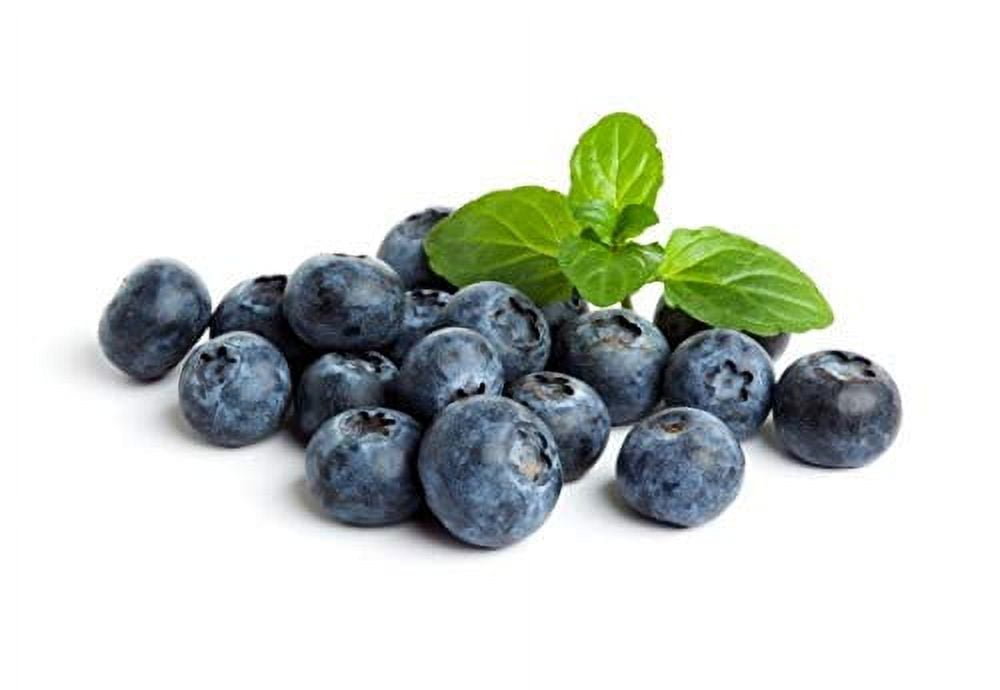 Organic Blueberries by Healthy Antioxidant Fruit Diet for Smoothies