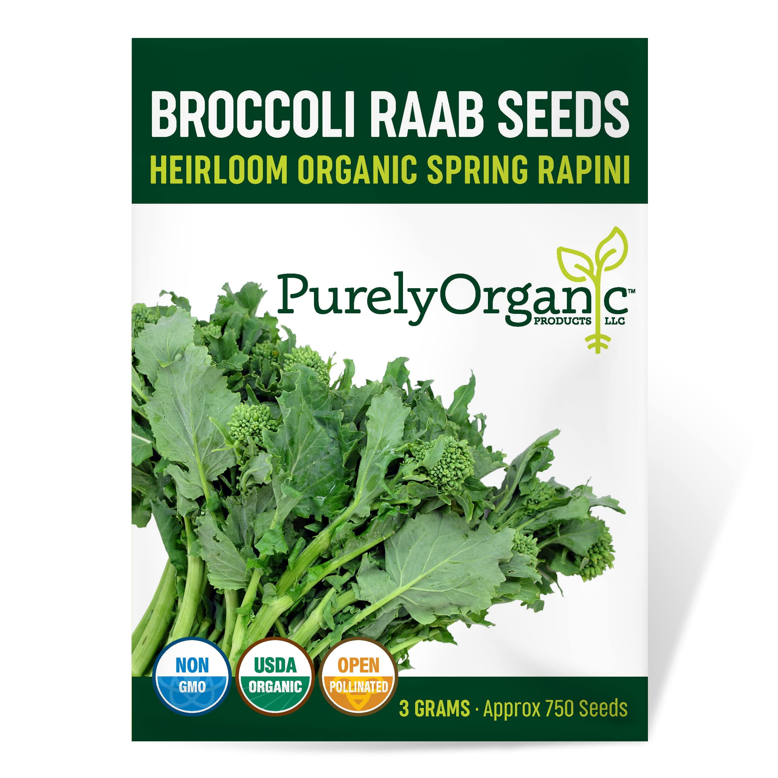 Organic Broccoli Raab Seeds DHF10 (Spring Rapini) Approx 750 Seeds