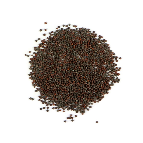 Organic Brown Mustard Seeds - 2 Grams