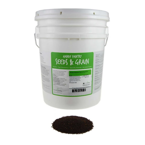 Organic Brown Mustard Sprouting Seeds: 35 Lb - Hot Mustard Seed: For Spices, Sprouts, Microgreens, Making Gourmet Mustard, Herb Gardening, More