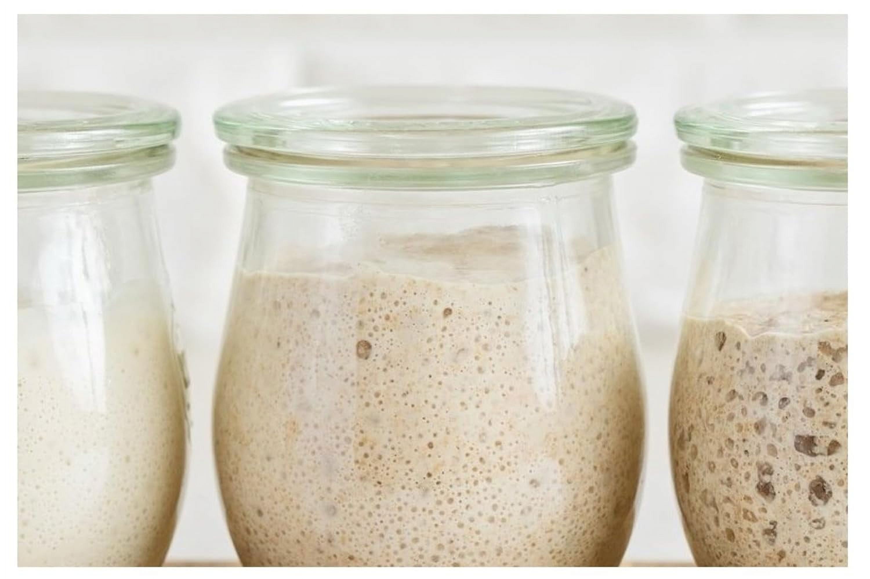 organic-buckwheat-gluten-sourdough-starter-culture-walmart