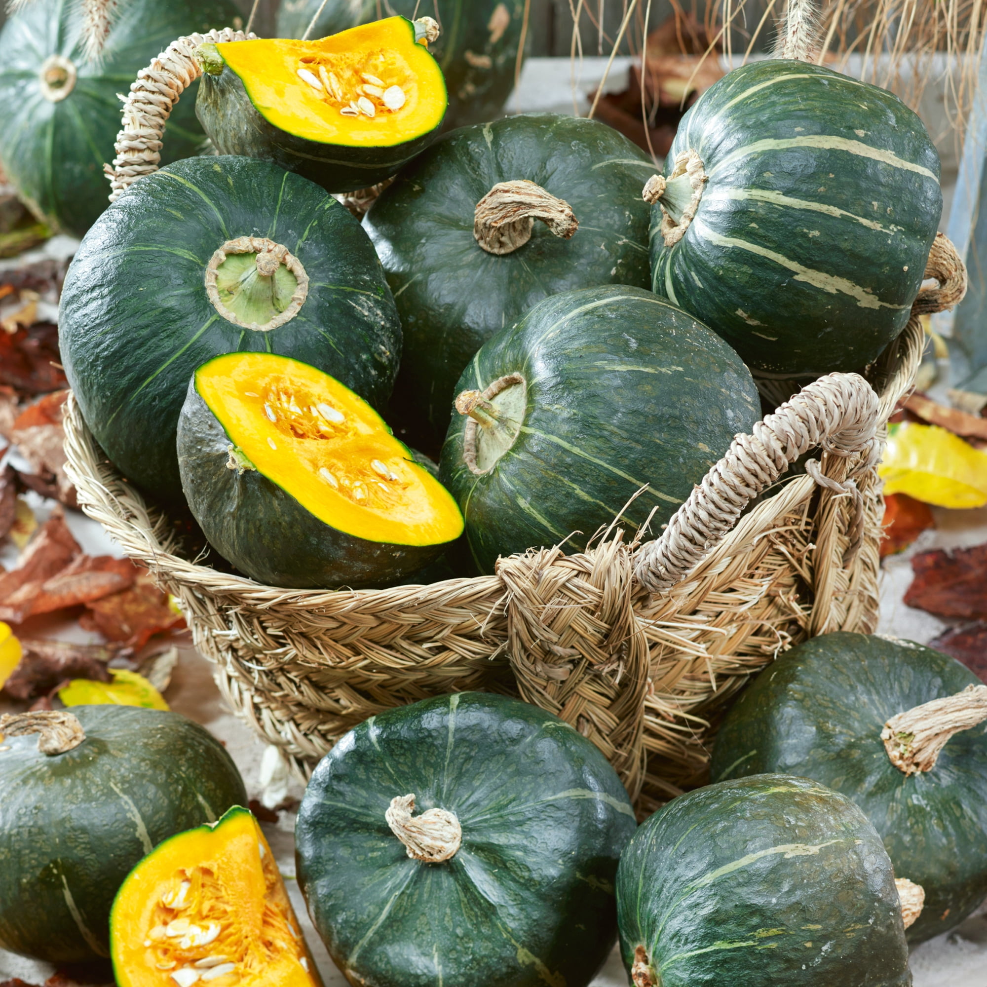 Organic Burgess Buttercup Winter Squash Seeds - 1 Lb ~2800 Seeds - Non-GMO, Certified Organic, Heirloom - Vegetable Garden - Cucurbita maxima
