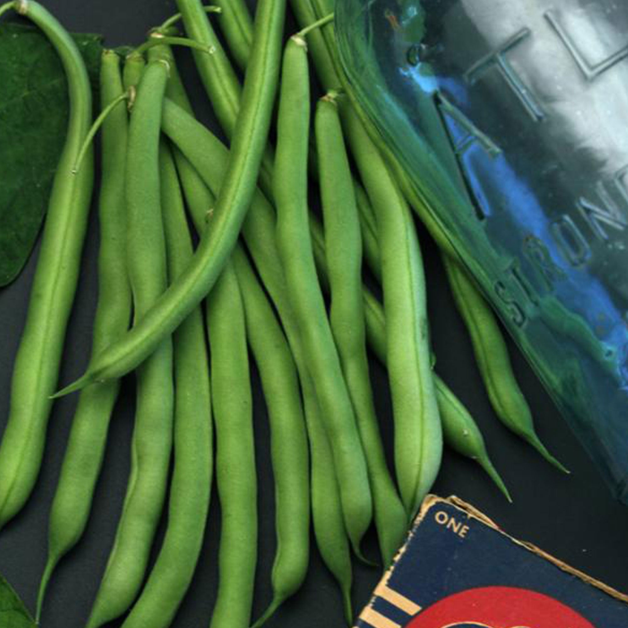Organic Bush Blue Lake 274 Bean - 1 LB ~1,200 Seeds - Organic, Non-GMO ...