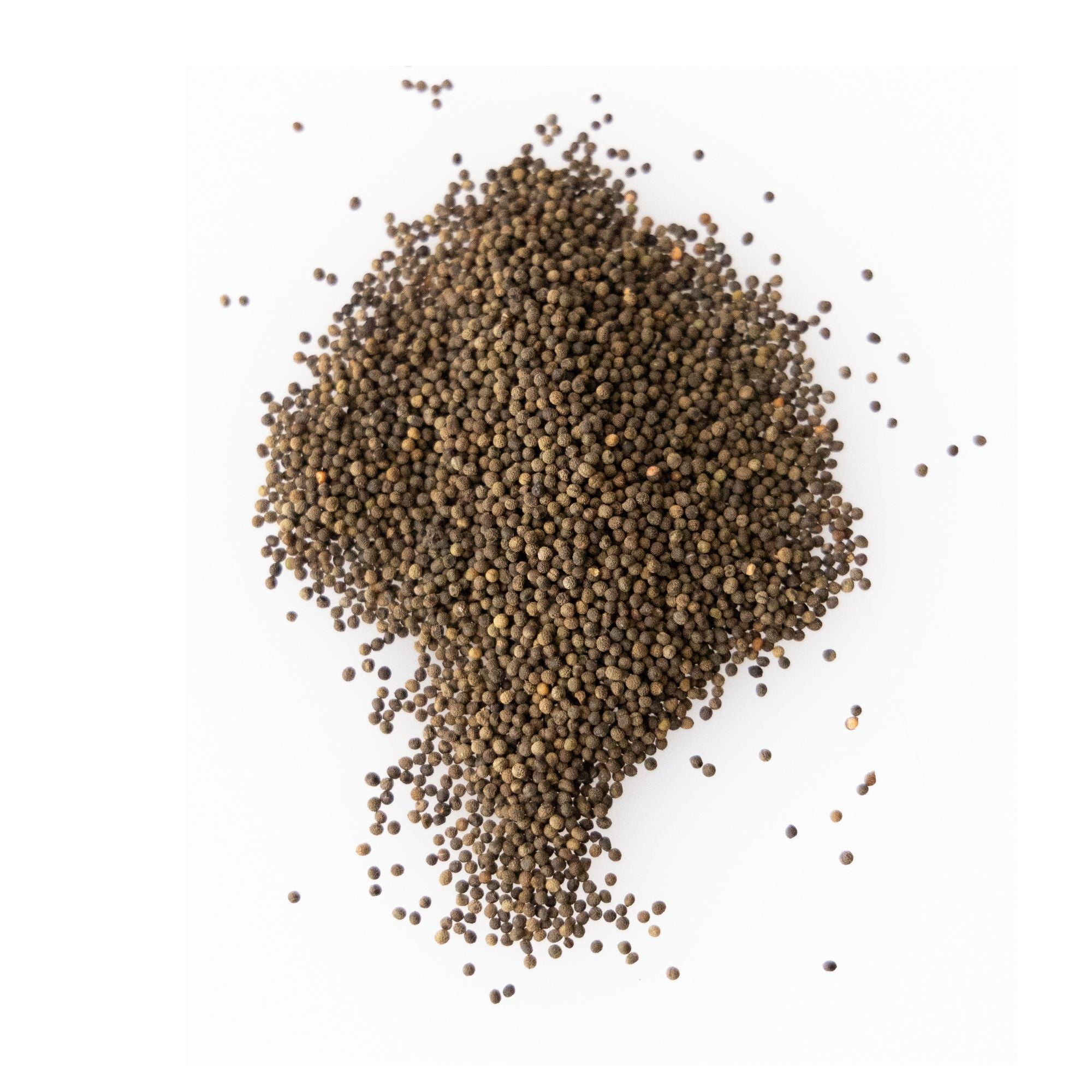 Organic California Poppy Seeds 1 Oz ~33,180 Seeds – Vibrant Blooms, High Germination, Easy to Grow – Drought-Tolerant Wildflower for Gardens, Borders & Pollinator Habitats