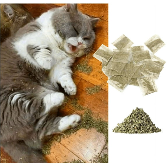 Organic Toys for Playful Energy Stimulation and Curiosity Mint Your Pet