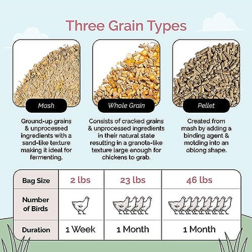 Organic Chicken Feed Grower (820 week) Chickens 23 lbs. Organic