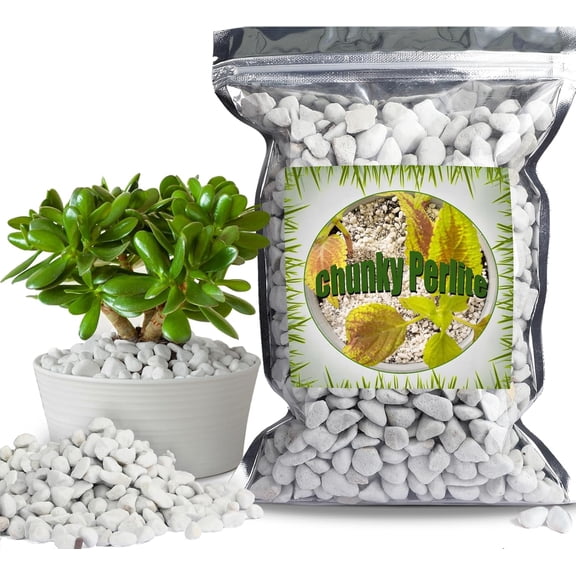 Organic Chunky Perlite for Plants (0.4"-0.8" in Diameter), Natural Horticultural Soil Additive Conditioner Mix, Improve Drainage and Ventilation, Enhance Soil Health and Root Growth (1 Quart)