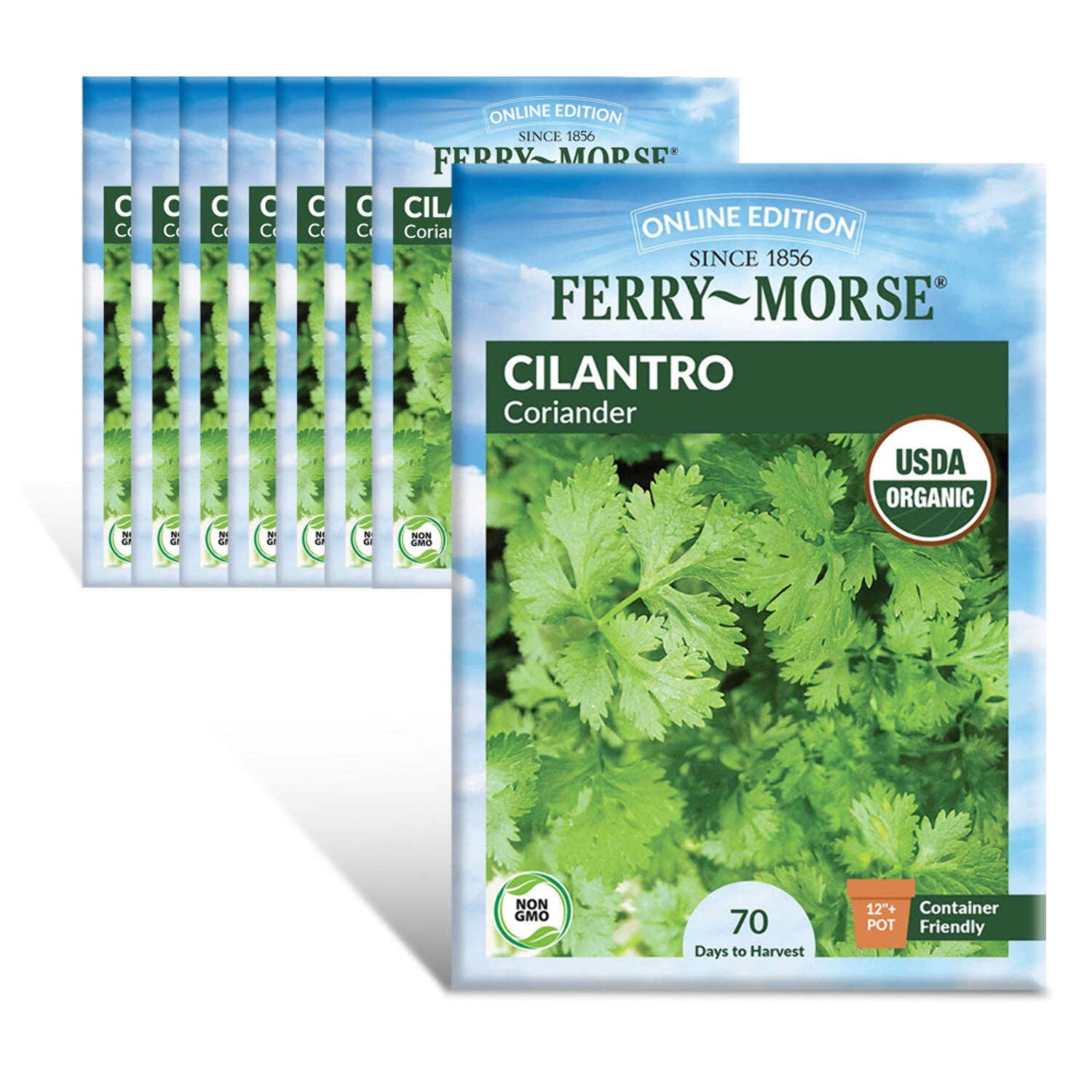Ferry-Morse Online Edition Cilantro Coriander Seeds- 8 Pack