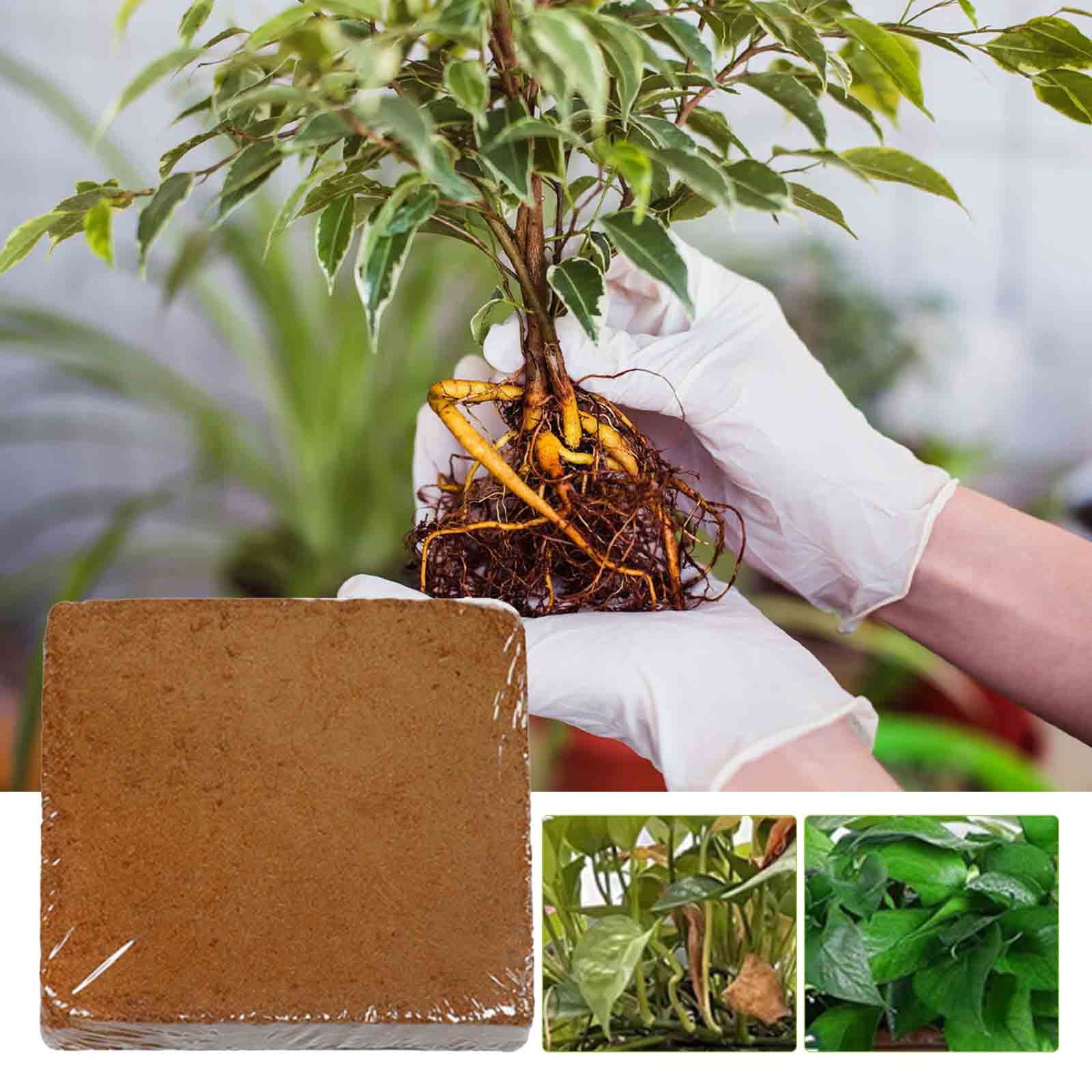 Organic Coco Coir Bricks- Natural Compressed Coco Peat Brick Coconut Fiber Substrate with Low EC&pH Balance, Plant Soil Enhance Root Growth for Herbs, Flowers, House Plants