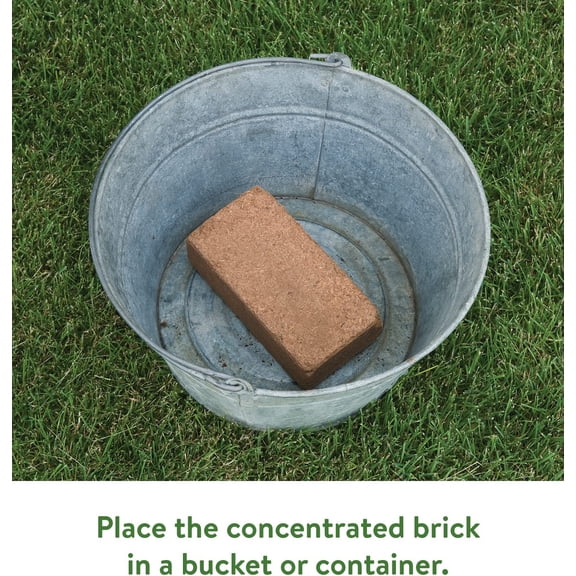 Organic Coconut Coir Concentrated Seed Starting Mix, 16 Quart (Pack of 12)