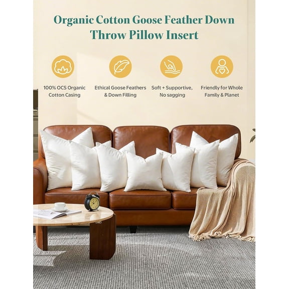 Organic Cotton Goose Feather Down Plus Throw Pillow Inserts, 20x20 Inch Set of 2