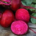 thumbnail image 1 of Organic Crosby Egyptian Beet - 1/4 LB ~6,000 Seeds - Organic, Heirloom, Open Pollinated, Non-GMO, Farm & Vegetable Gardening Seeds, 1 of 2