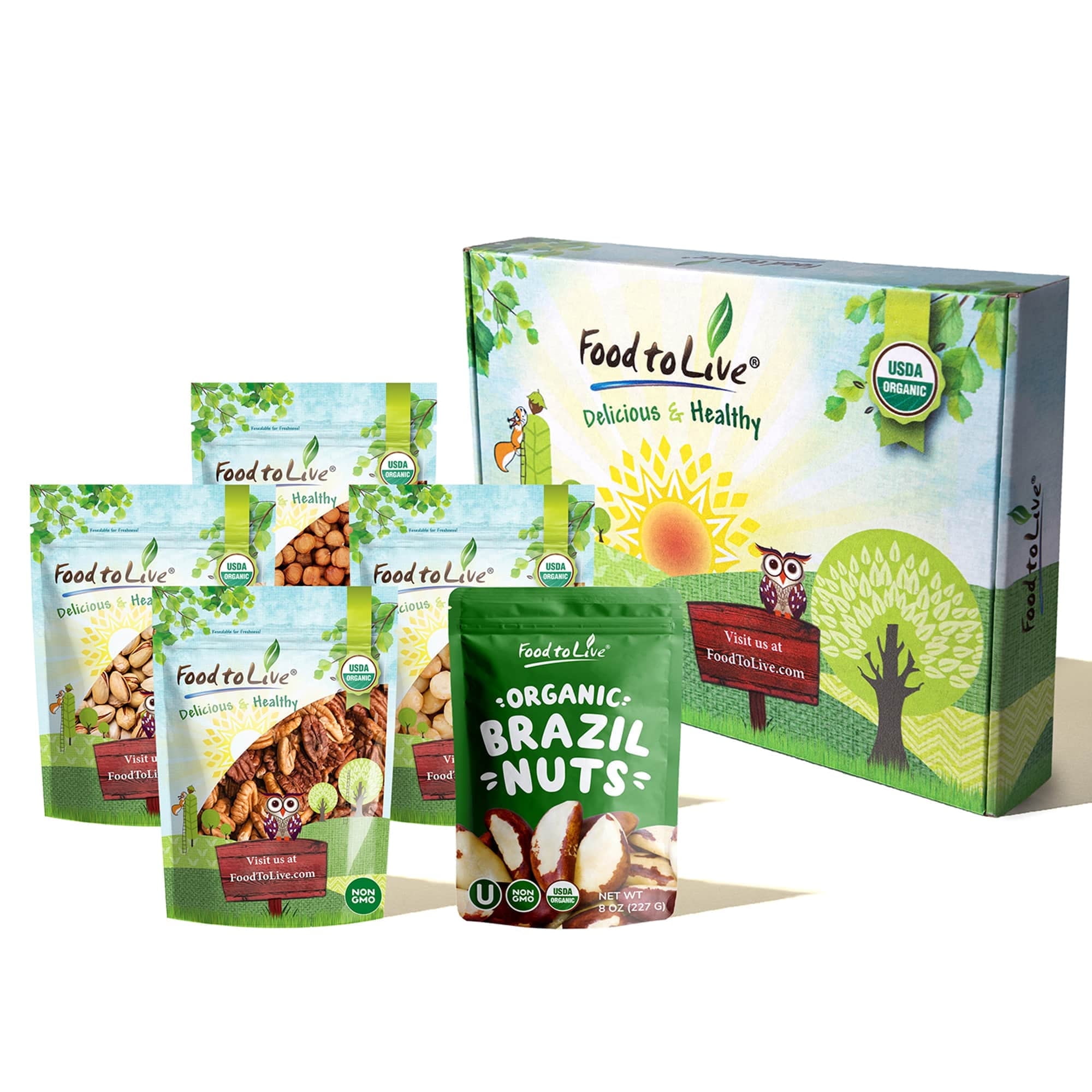 Organic Delicious Nuts - Gift Box by Food to Live (Non-GMO, Kosher) – 1 Gift box (1 Gift box)
