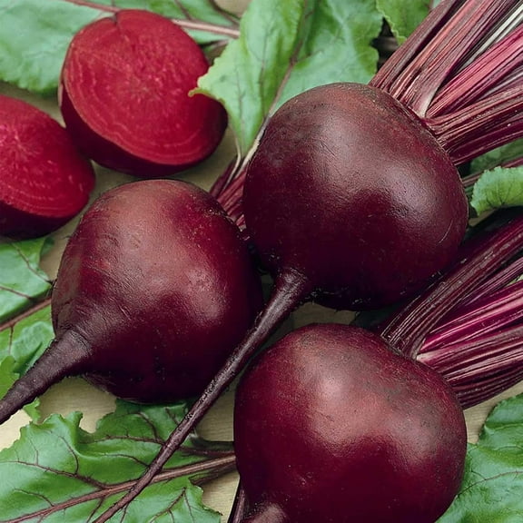 Organic Detroit Dark Red Beet Garden Seeds - 3 g Packet ~125 Seeds - Non-GMO, Heirloom Seed for Growing Microgreens, Vegetable Gardening