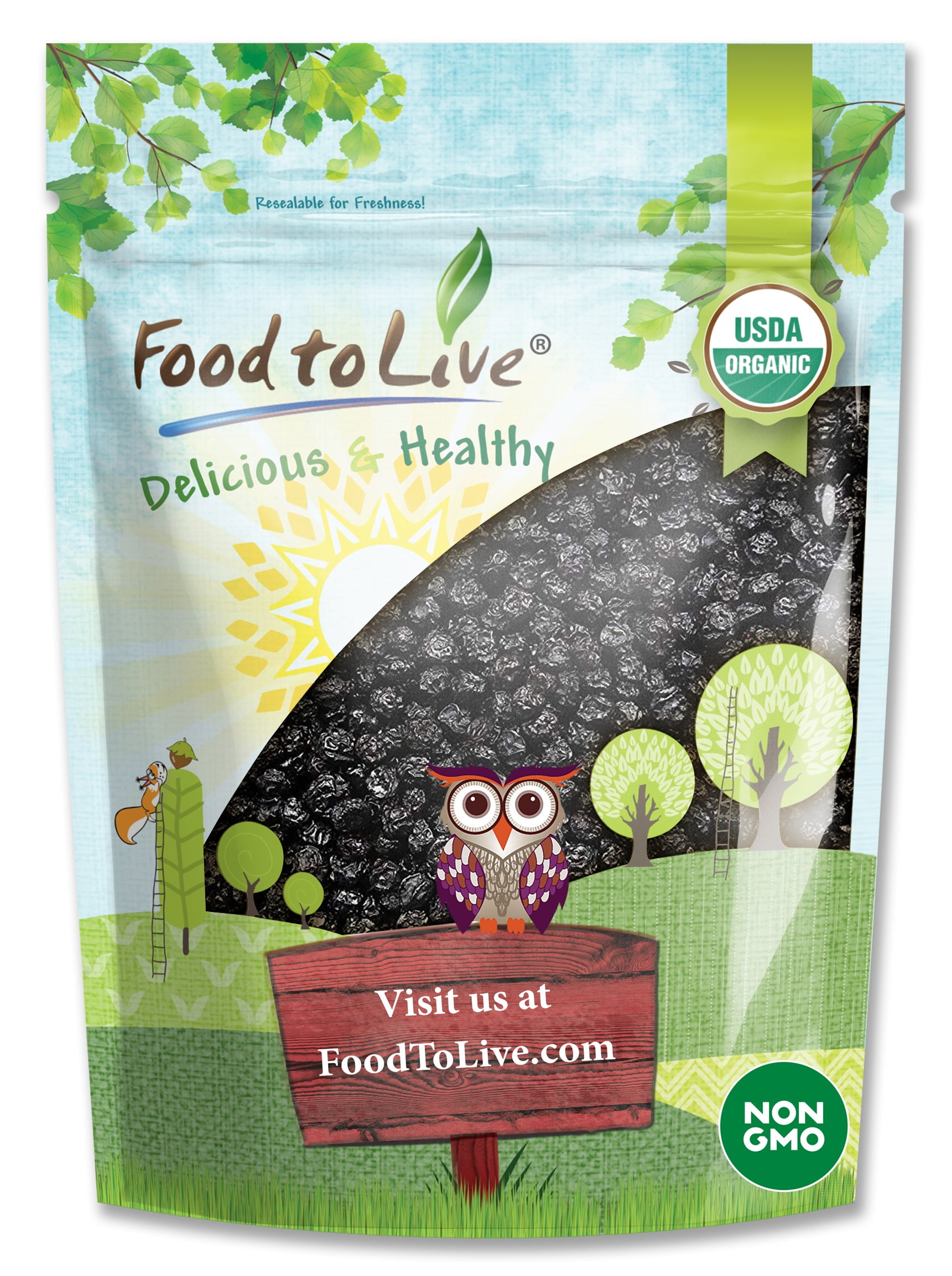 Organic Dried Blueberries, 4 Pounds — Non-GMO, Kosher, Raw, Vegan — by Food to Live