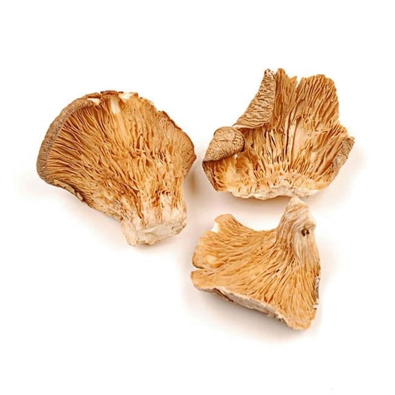 Organic Dried Oyster Mushrooms, 1 Pound Bag