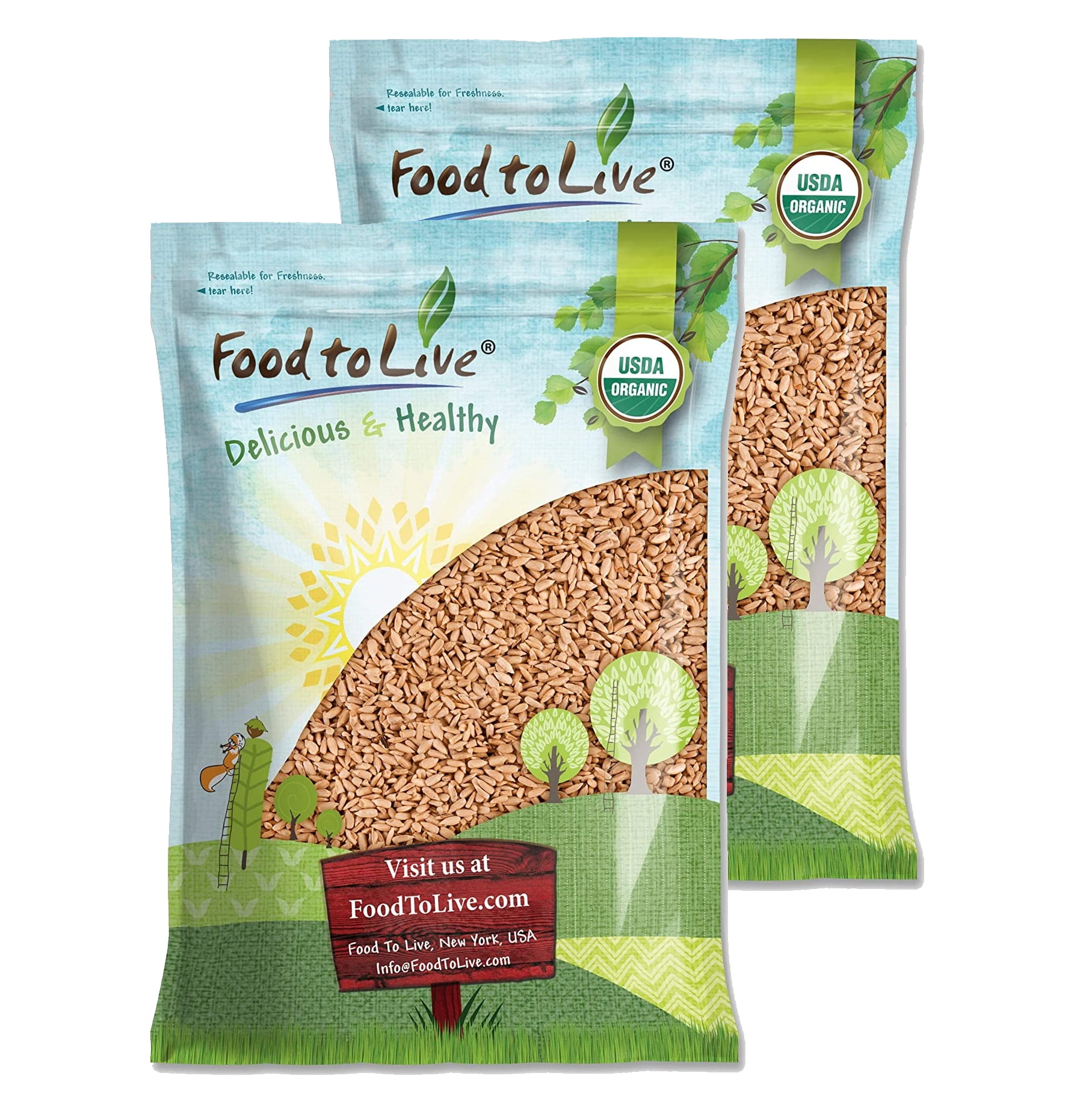 Organic Dry Roasted Sunflower Seeds with Himalayan Salt, 16 Pounds — Non-GMO, Kosher, Raw, Vegan — by Food to Live